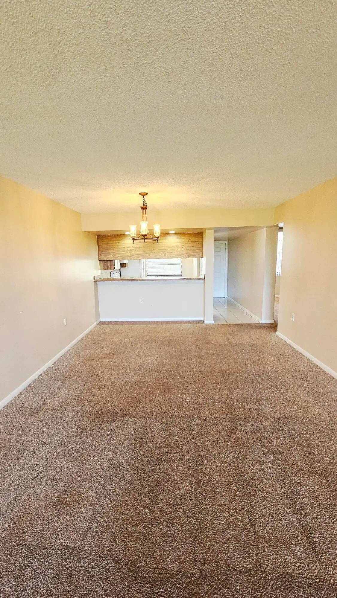 3630 WHITEHALL Drive 303, West Palm Beach, FL – photo 7
