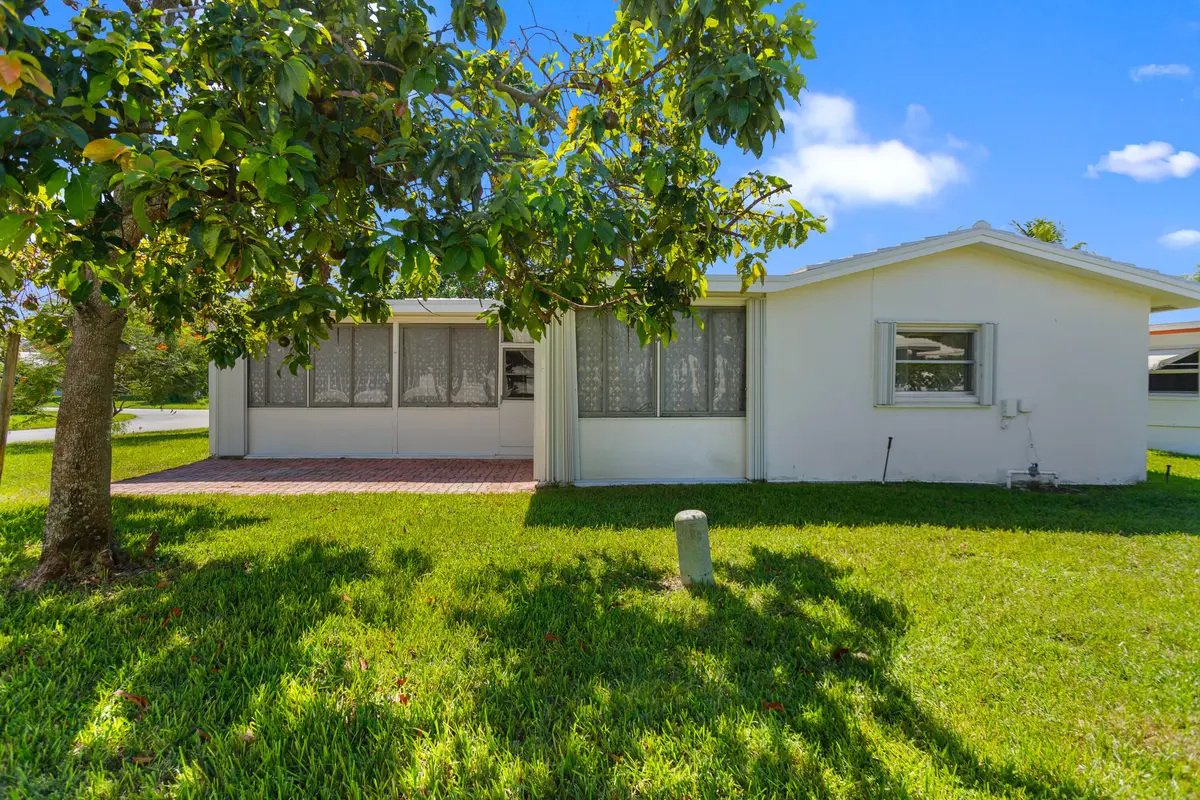Avocado Tree at 7101 NW 71ST Street, Tamarac