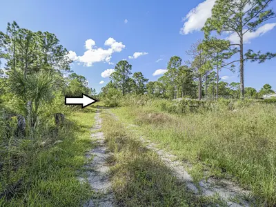 12810 88TH Street, Fellsmere – Unimproved Land for sale