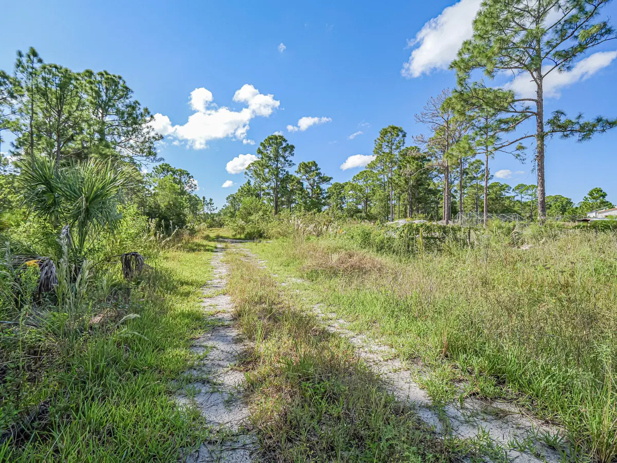 12810 88TH Street, Fellsmere, FL – photo 2