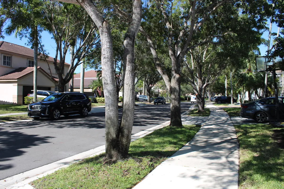 Neghborhood at 767 Nandina Drive, Weston