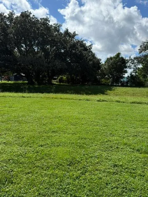 back yard at 262 NE Brunson Court, Port St. Lucie