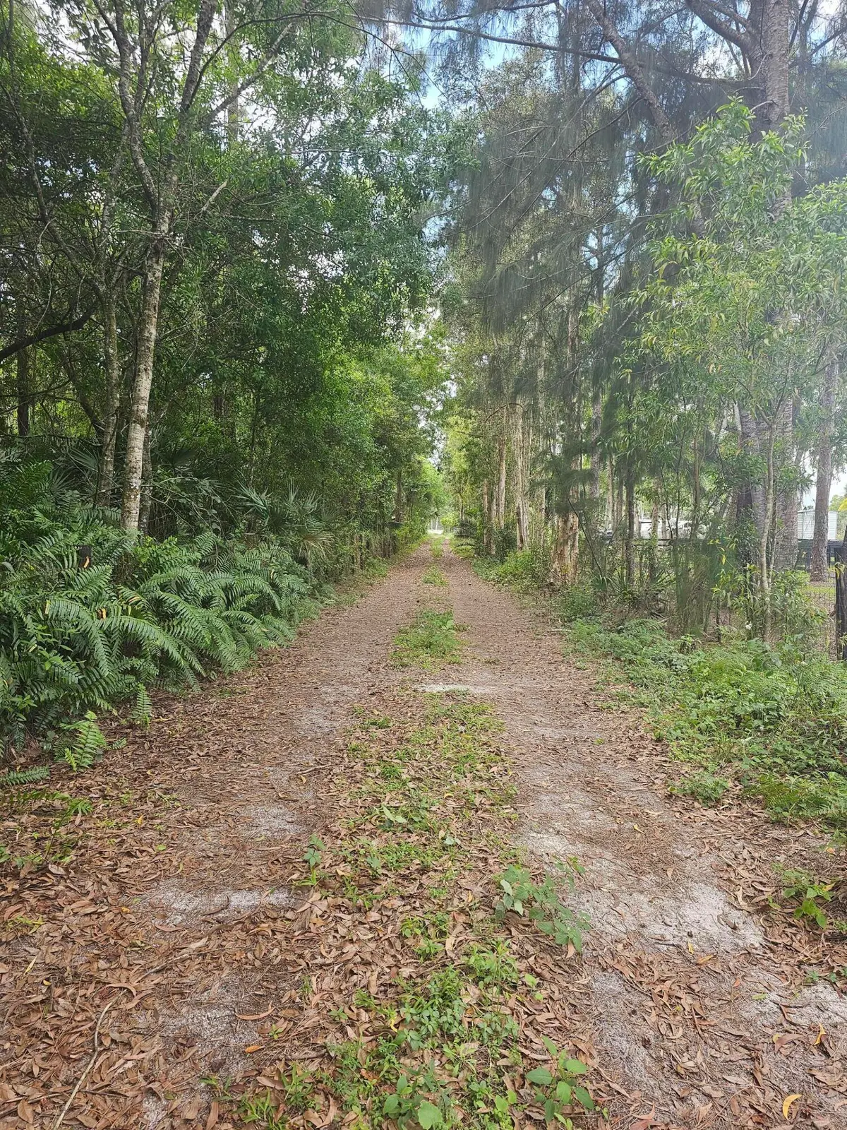 Ingress/ egress at 3556 B Road, Loxahatchee Groves