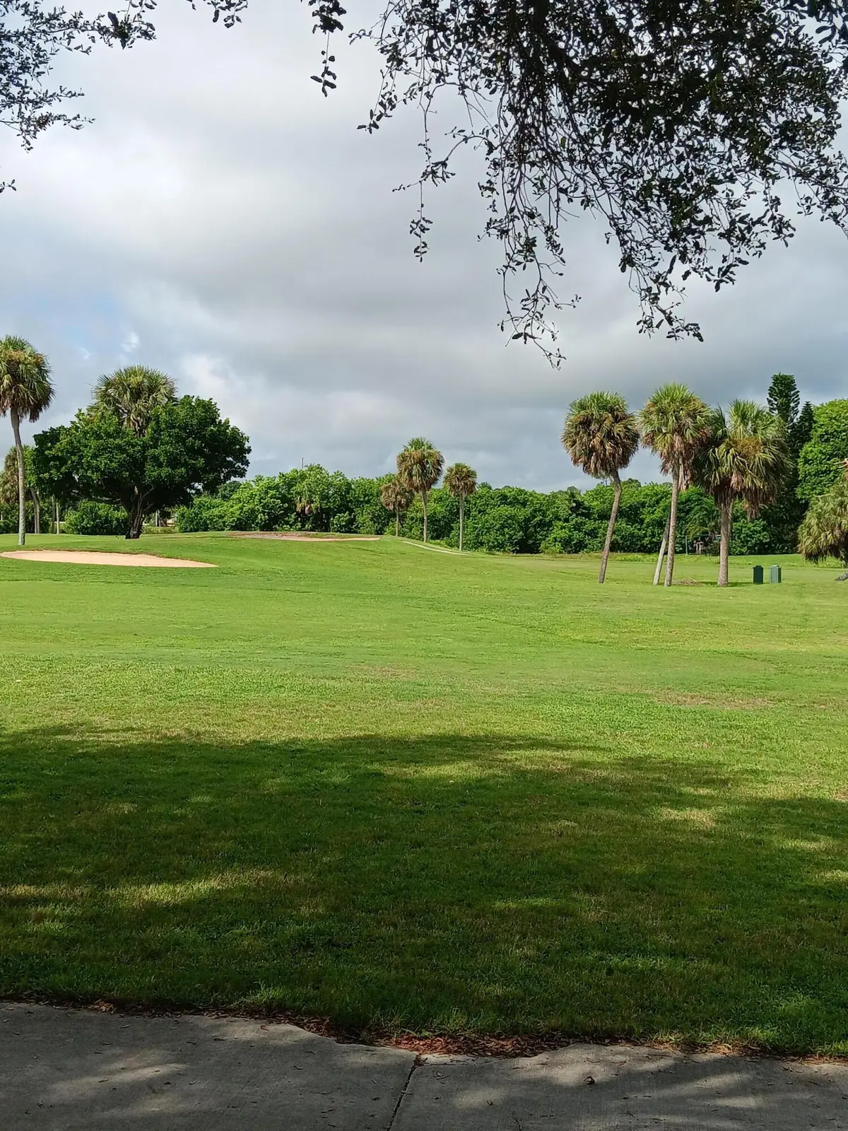bach yard 2 at 7874 SE Saratoga Drive, Hobe Sound