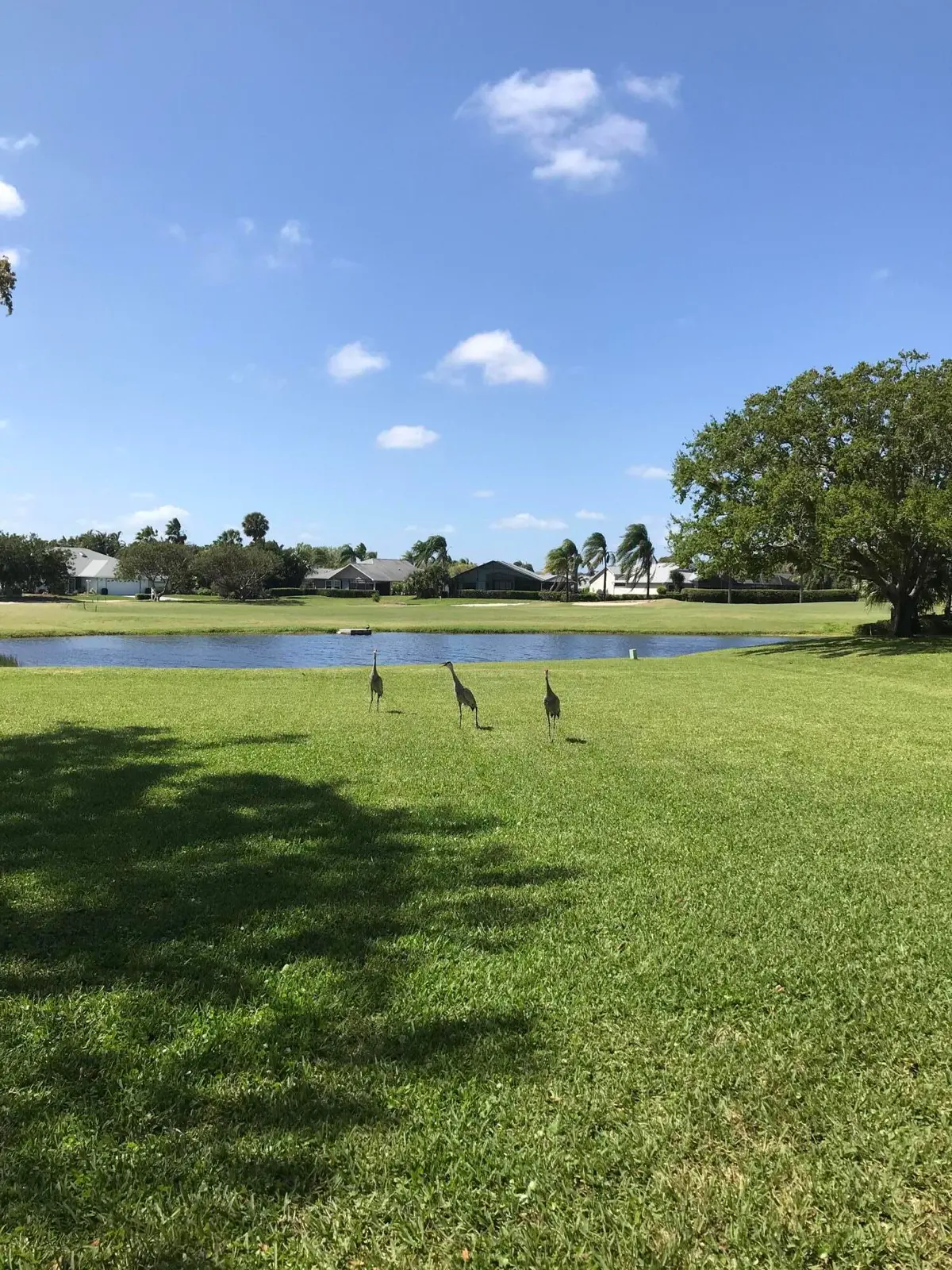 Williamsburg 103 Lake Bird Views - Copy at 6820 SE Constitution Boulevard 103, Hobe Sound