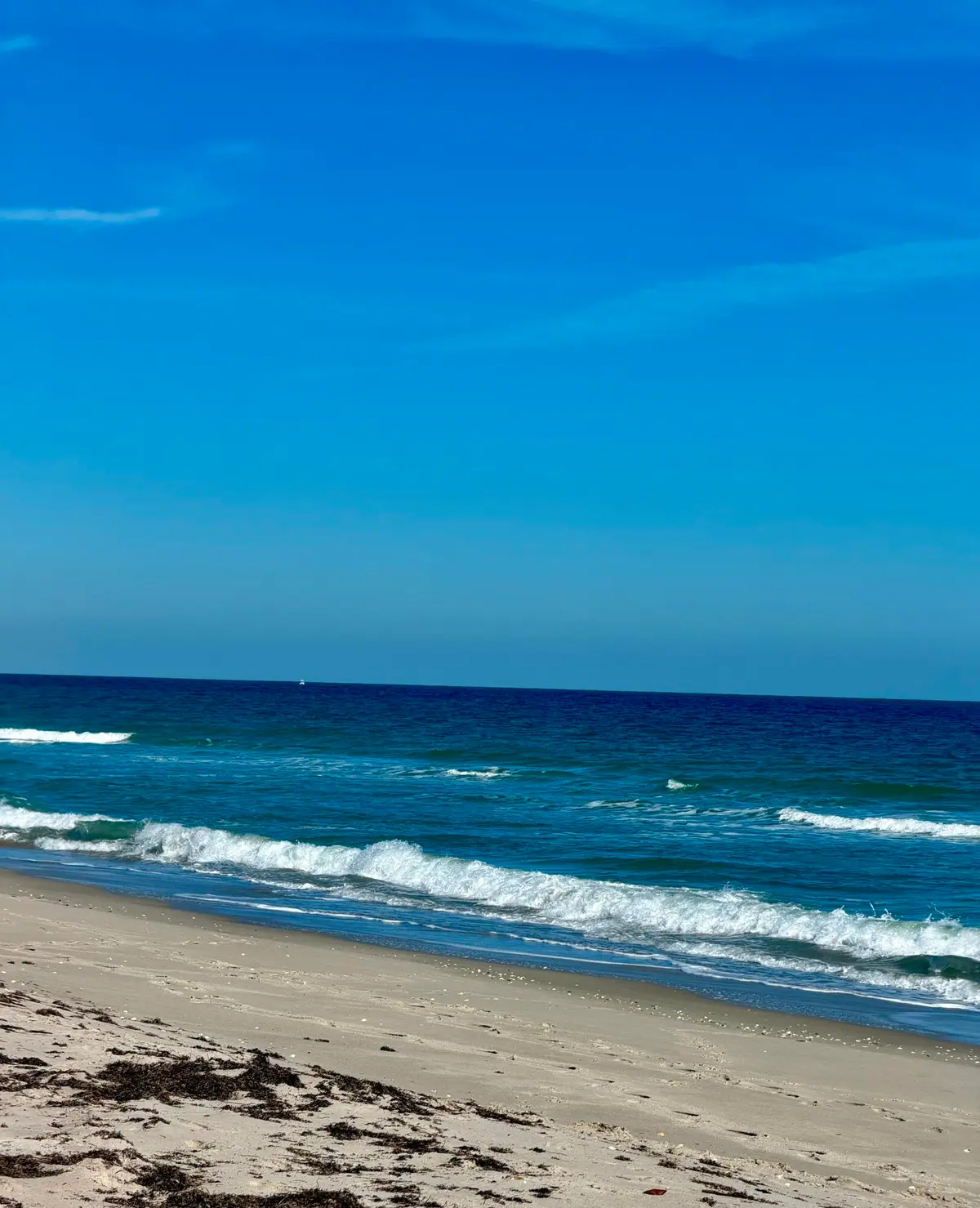 IMG_4542 at 4235 N Highway A1a 14, Hutchinson Island