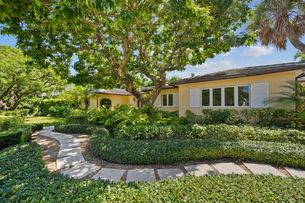 Crêpe Myrtle at 274 Monterey Road, Palm Beach