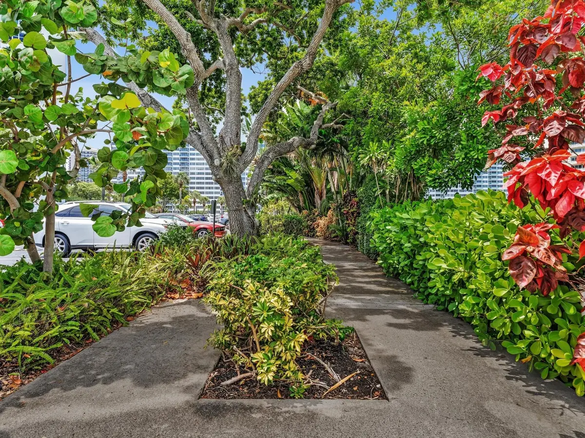 Orchids grow on path at 3300 NE 36th Street 1002, Fort Lauderdale