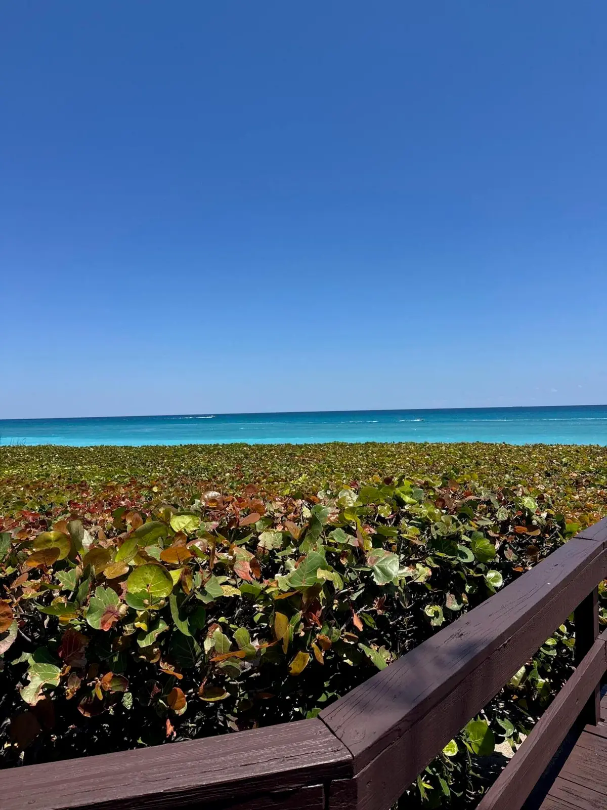 IMG_4824 at 170 Celestial Way 3-2, Juno Beach
