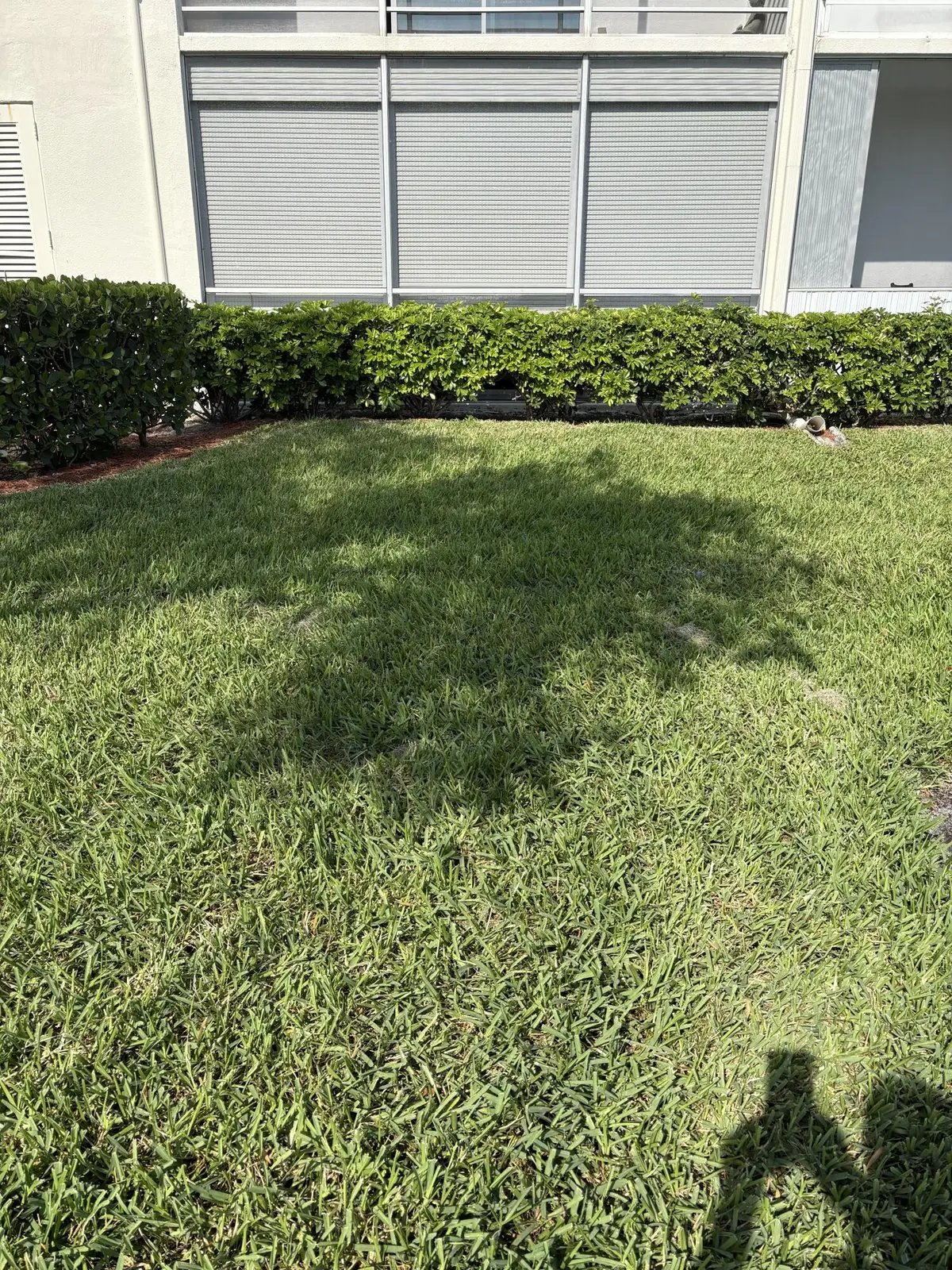 IMG_107727 at 91 Preston C C, Boca Raton