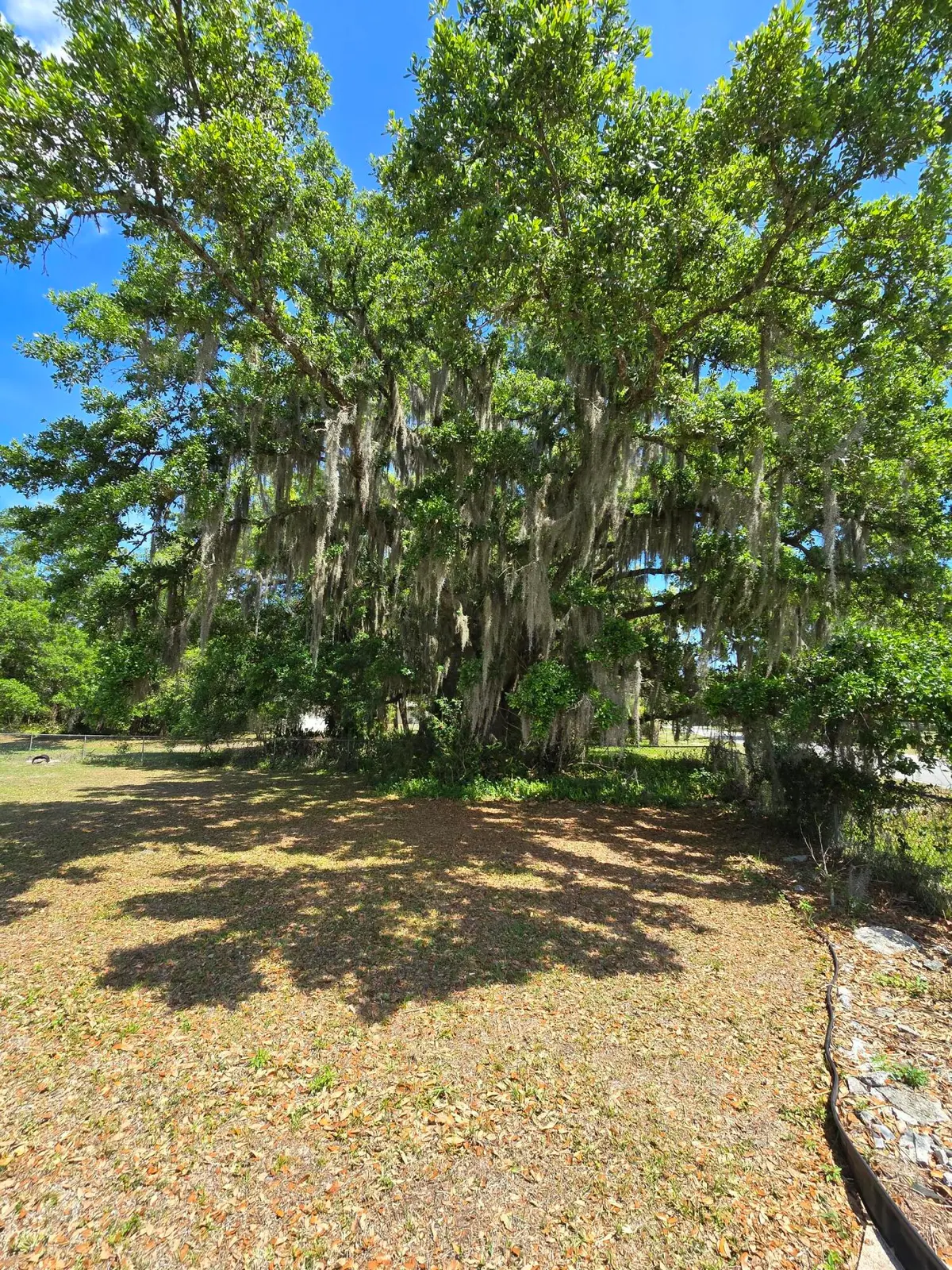 144 N Elm Street, Fellsmere, FL – photo 6