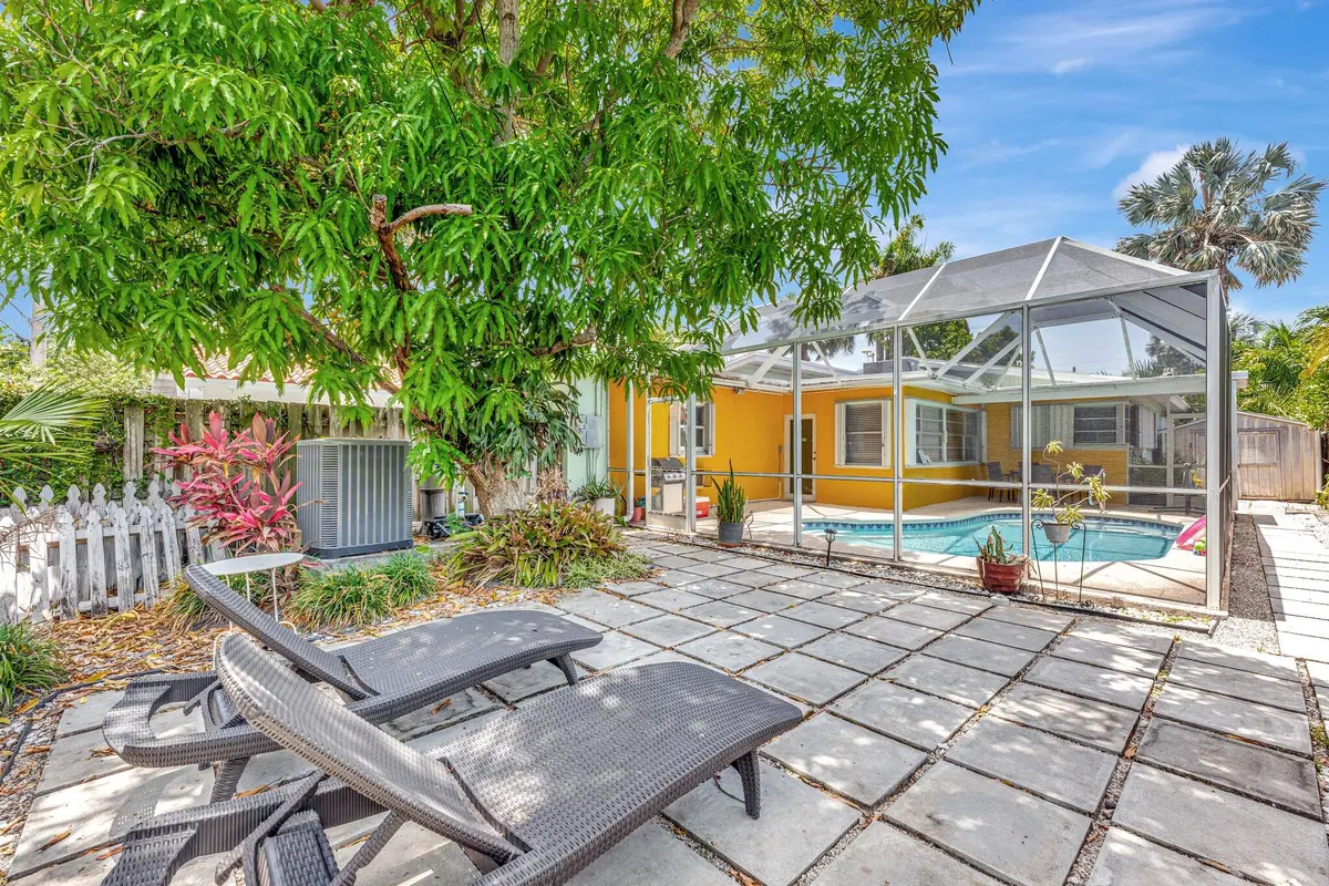 Backyard at 1246 Johnson Street, Hollywood