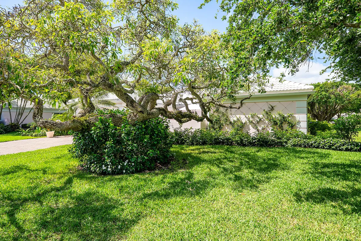 front yard at 4419 E Sanderling Cir, Boynton Beach