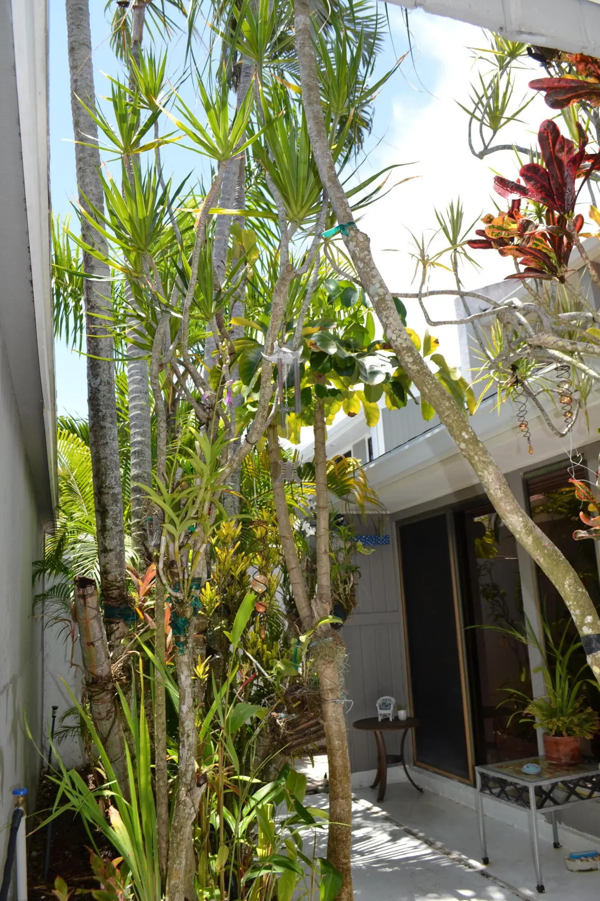 Walkway at 17145 Bay Street, Jupiter