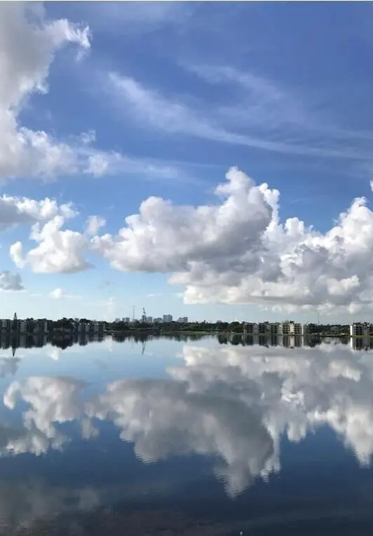 clouds at 118 Lake Emerald Drive 403, Oakland Park