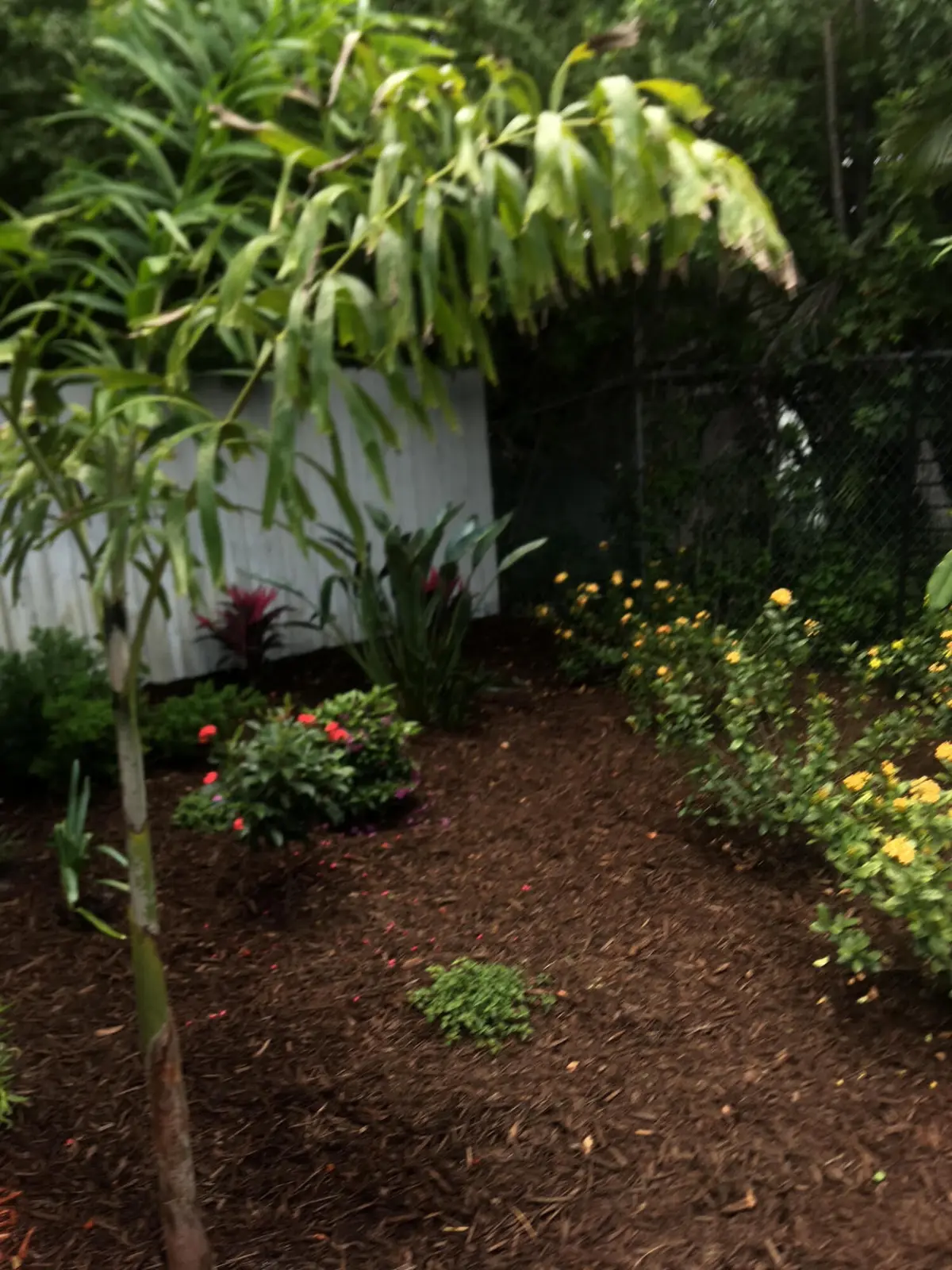 unnamed-2 at 1111 SW 2nd Street, Fort Lauderdale