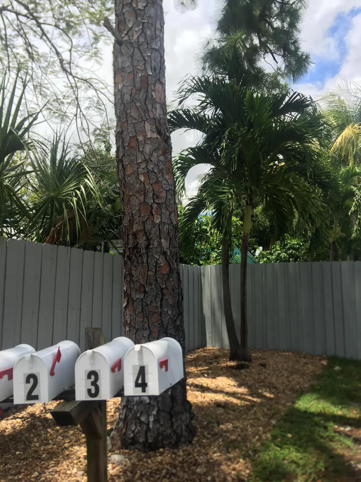 unnamed-3 at 1111 SW 2nd Street, Fort Lauderdale