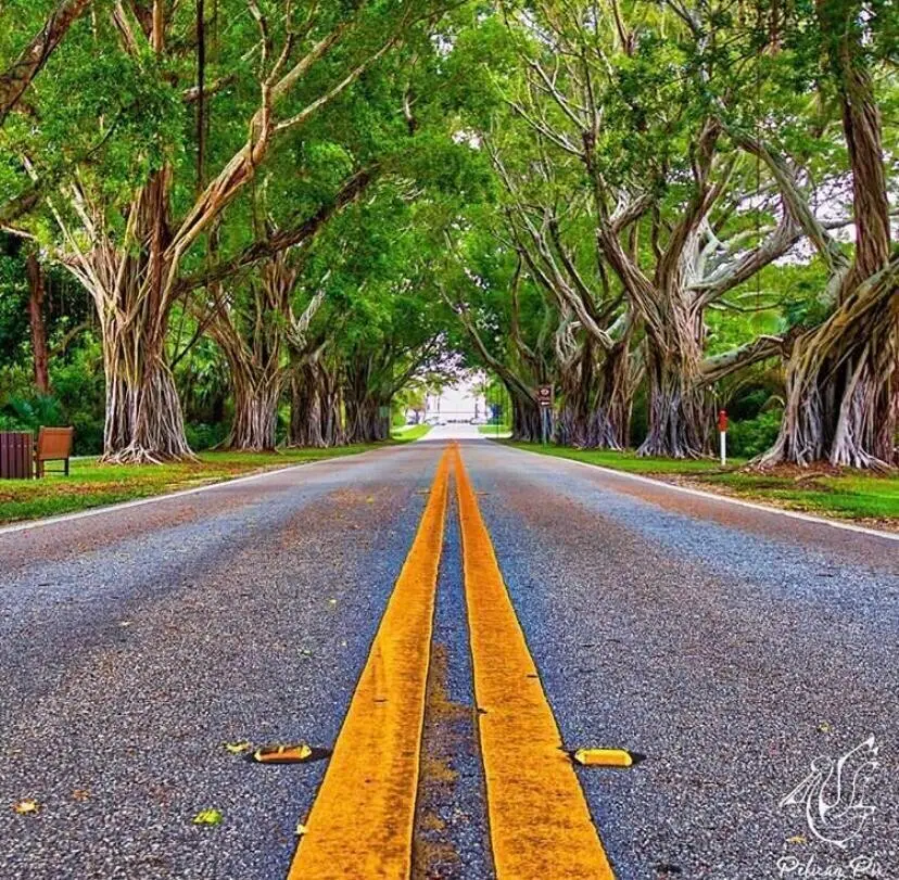 Bridge Road at 12140 SE Indian River Drive, Hobe Sound