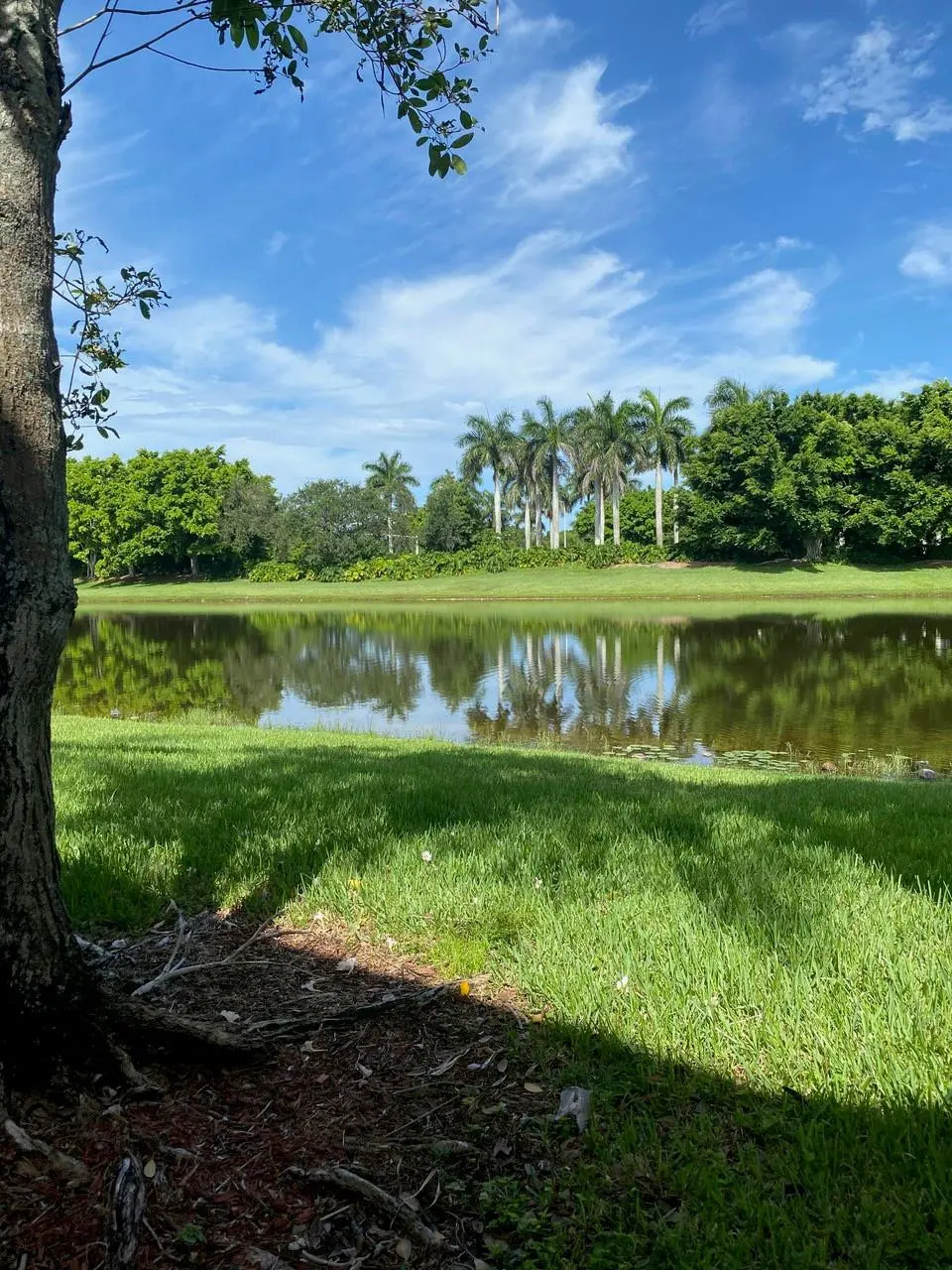 Photo 3 at 2253 Salerno Circle 2253, Weston