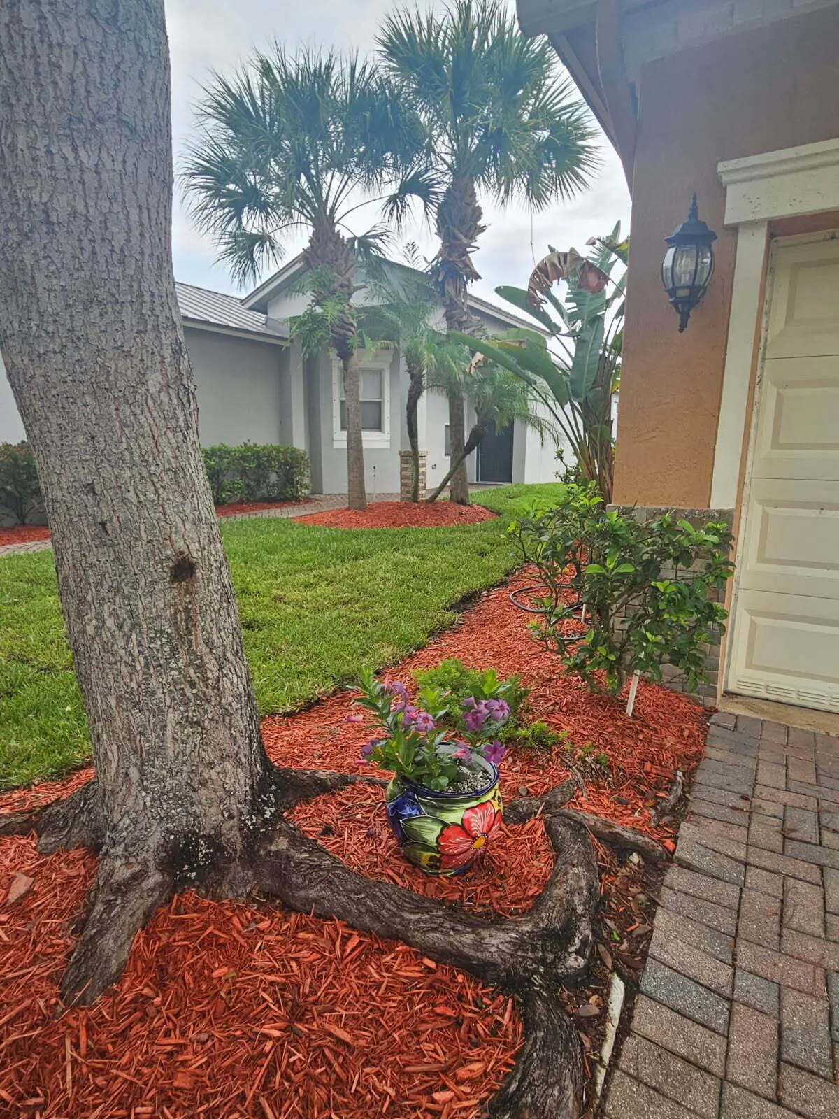 SIDE YARD NEW MULCH at 9872 SW Glenbrook Drive, Port St. Lucie