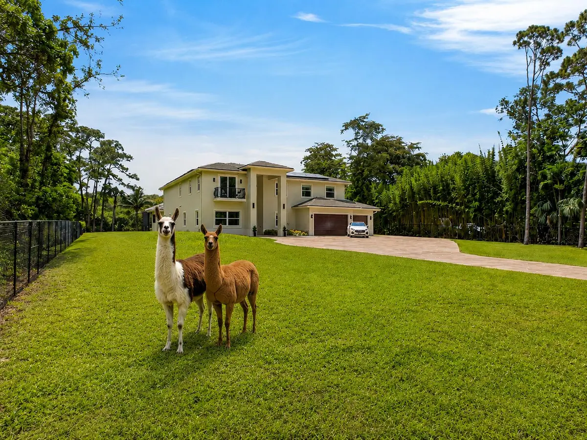 Moe and Friend 3 at 6077 NW 71st Terrace, Parkland