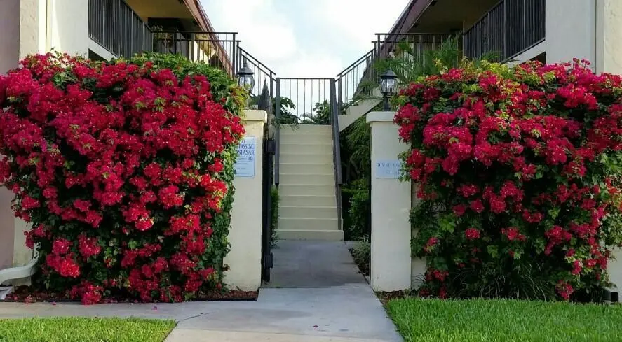 TGV Courtyard entrace at 120 N M Street L, Lake Worth Beach