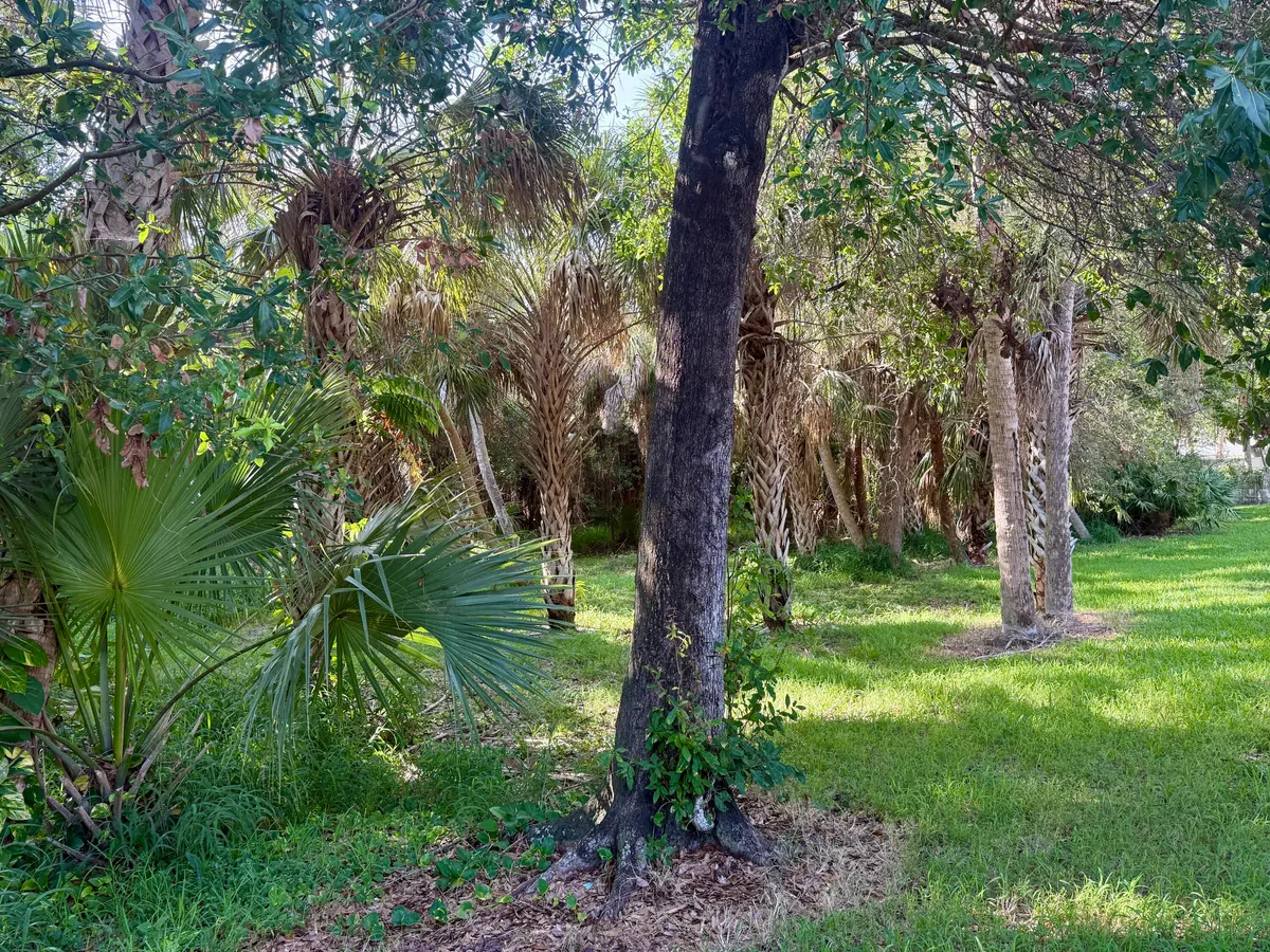 Privacy on Rare Preserve Location at 198 Hampton Circle, Jupiter