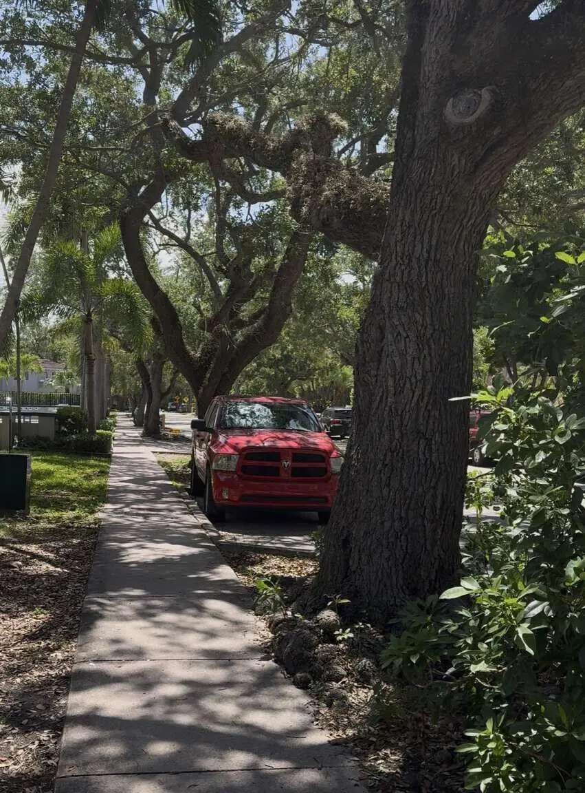 002_Rodolakis.2 at 51 Edgewater Drive 4, Coral Gables