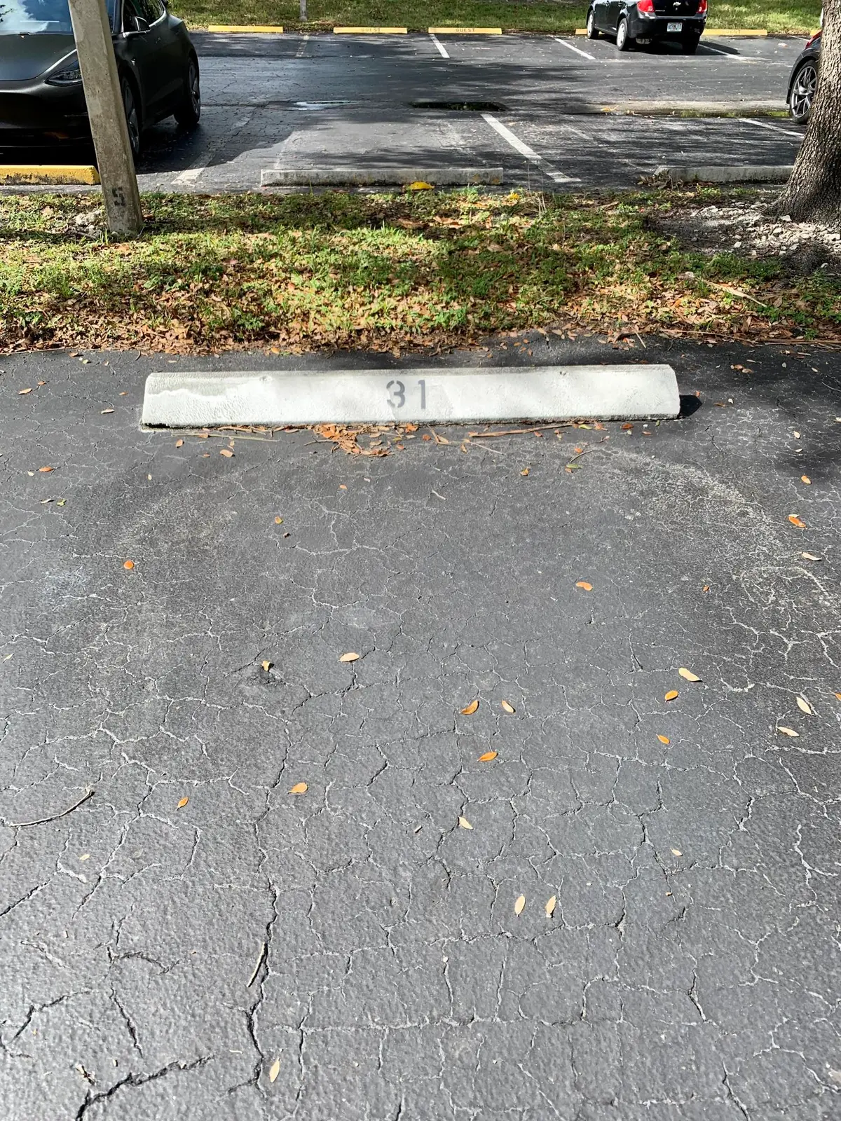 Parking at 3100 W Rolling Hills Circle 309, Davie