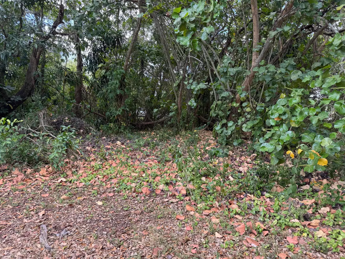 IMG_4613 at 3358 S Jog Road, Greenacres