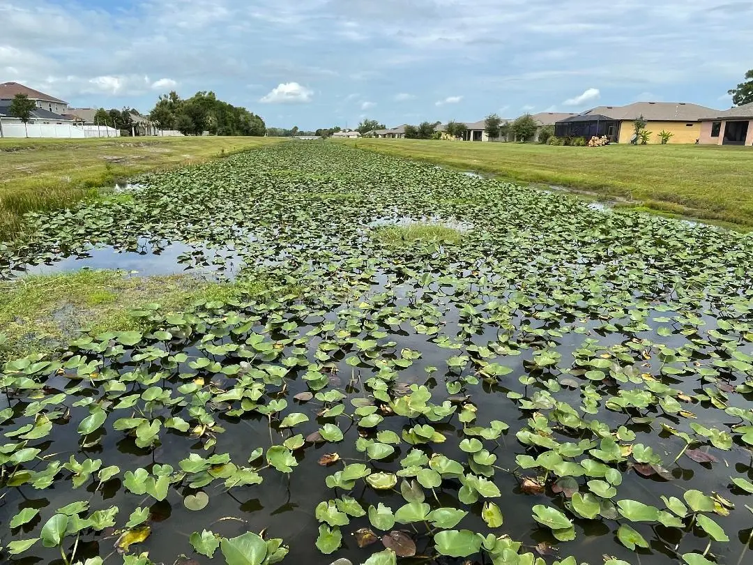 Carlos 23 at 5565 NW Pine Trail Circle, Port St. Lucie
