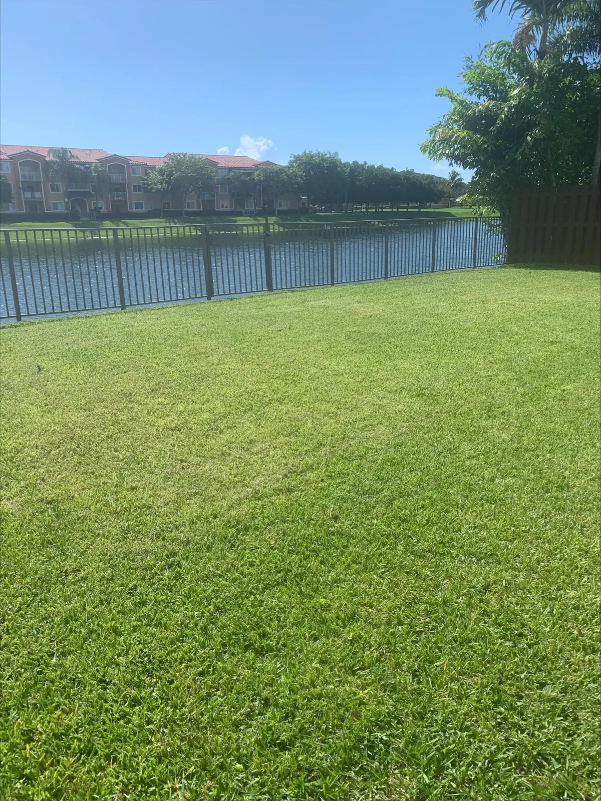 backyard at 20901 SW 88TH Court, Cutler Bay