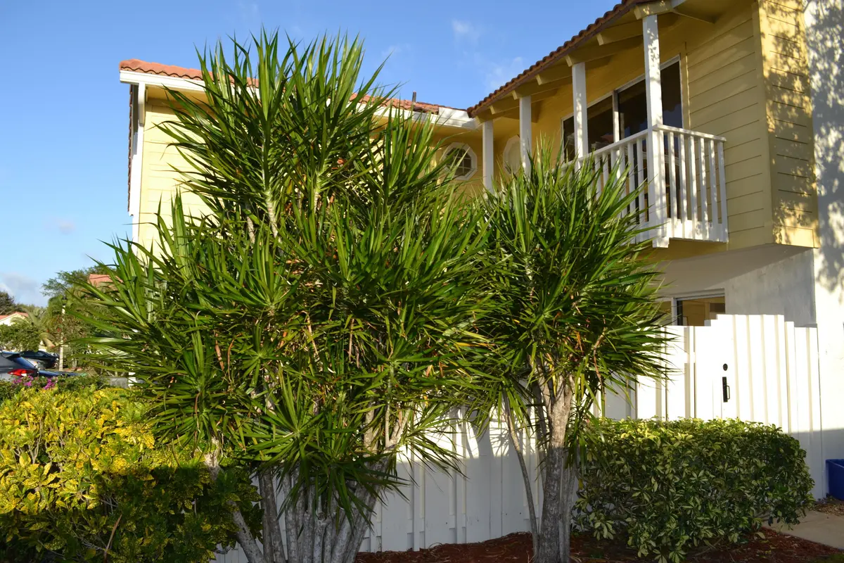 DSC_1017 at 176 Seabreeze Circle, Jupiter