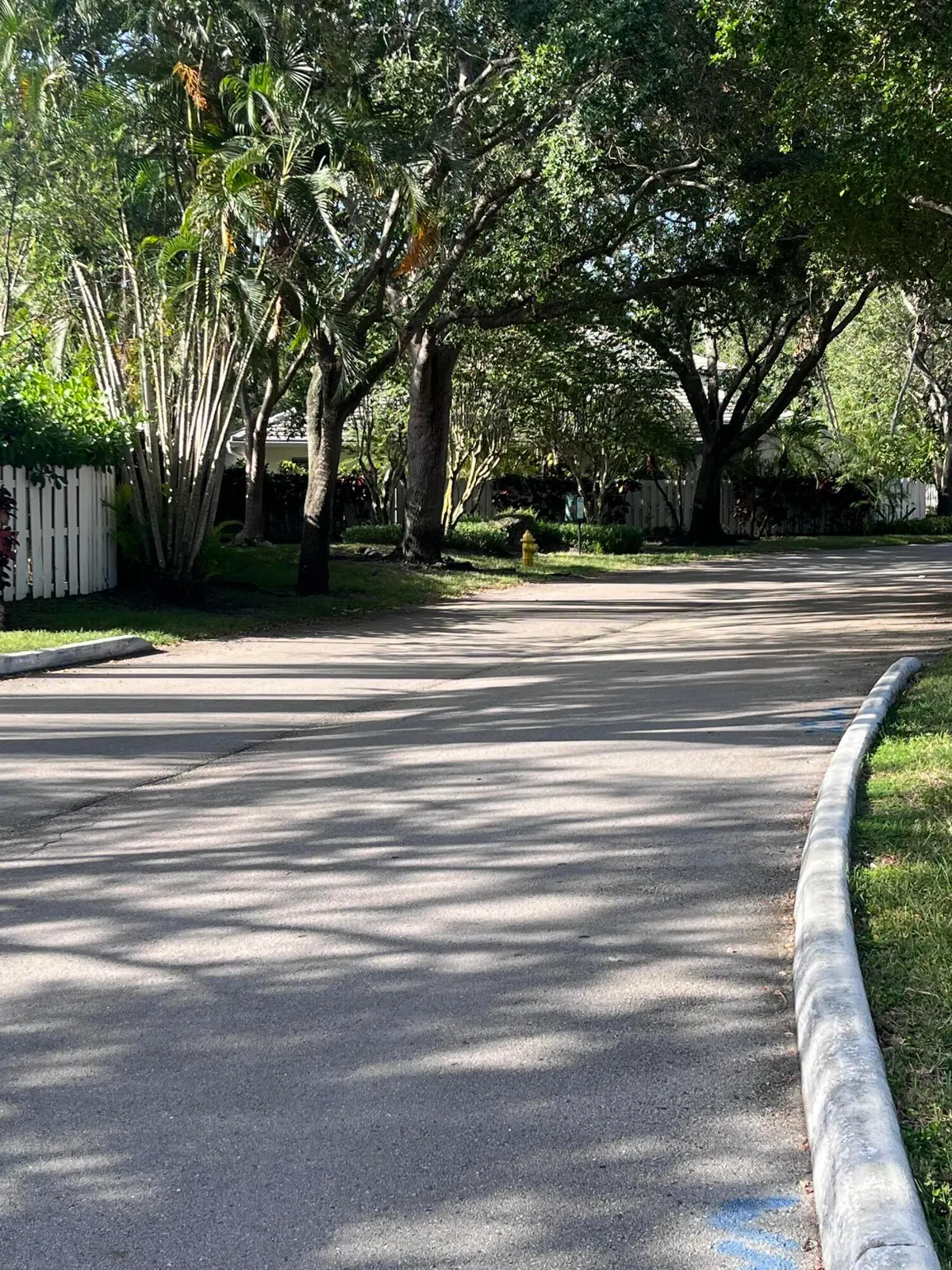 IMG_6335 at 845 NW 98th Avenue, Plantation
