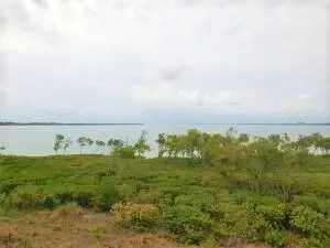 View at 27 HARBOUR ISLE Drive 305, Fort Pierce