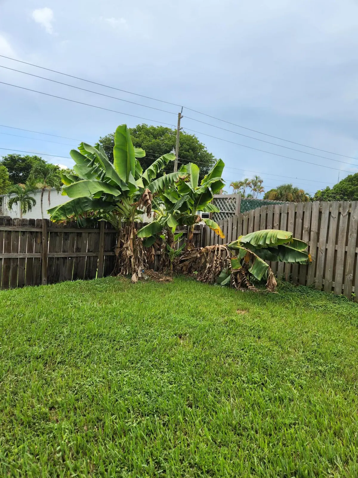 1000 SW 133RD Terrace, Davie, FL – photo 3