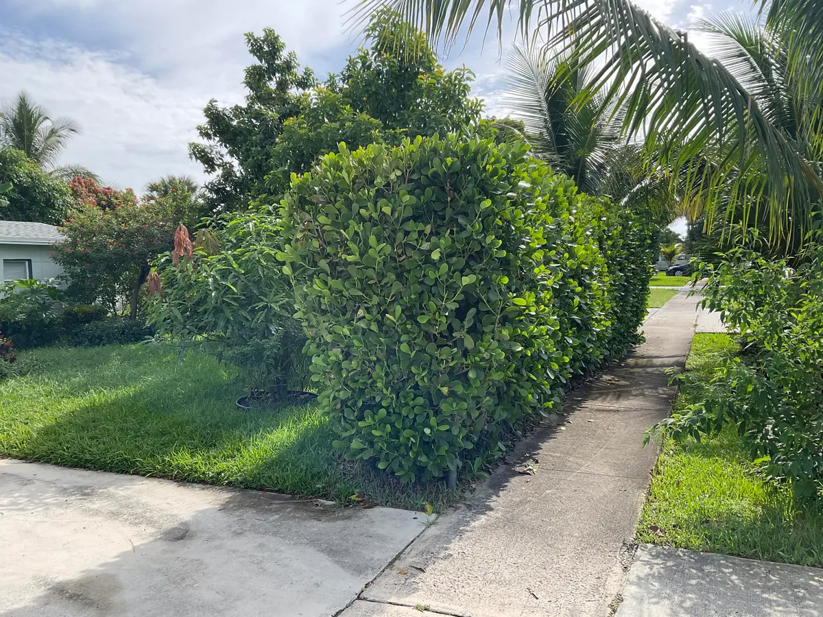 IMG_5509 at 211 NE 27TH Avenue, Boynton Beach