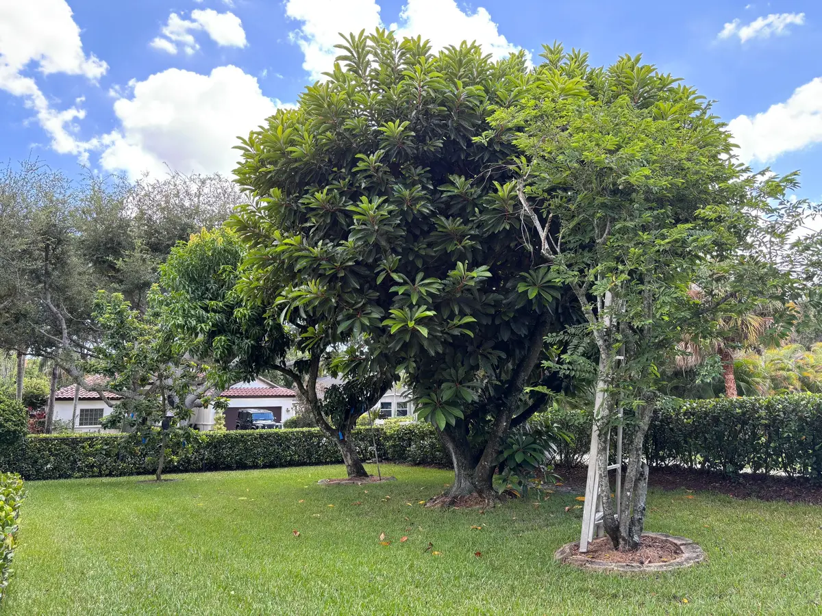 391 Mallard Point, Jupiter, FL – photo 6