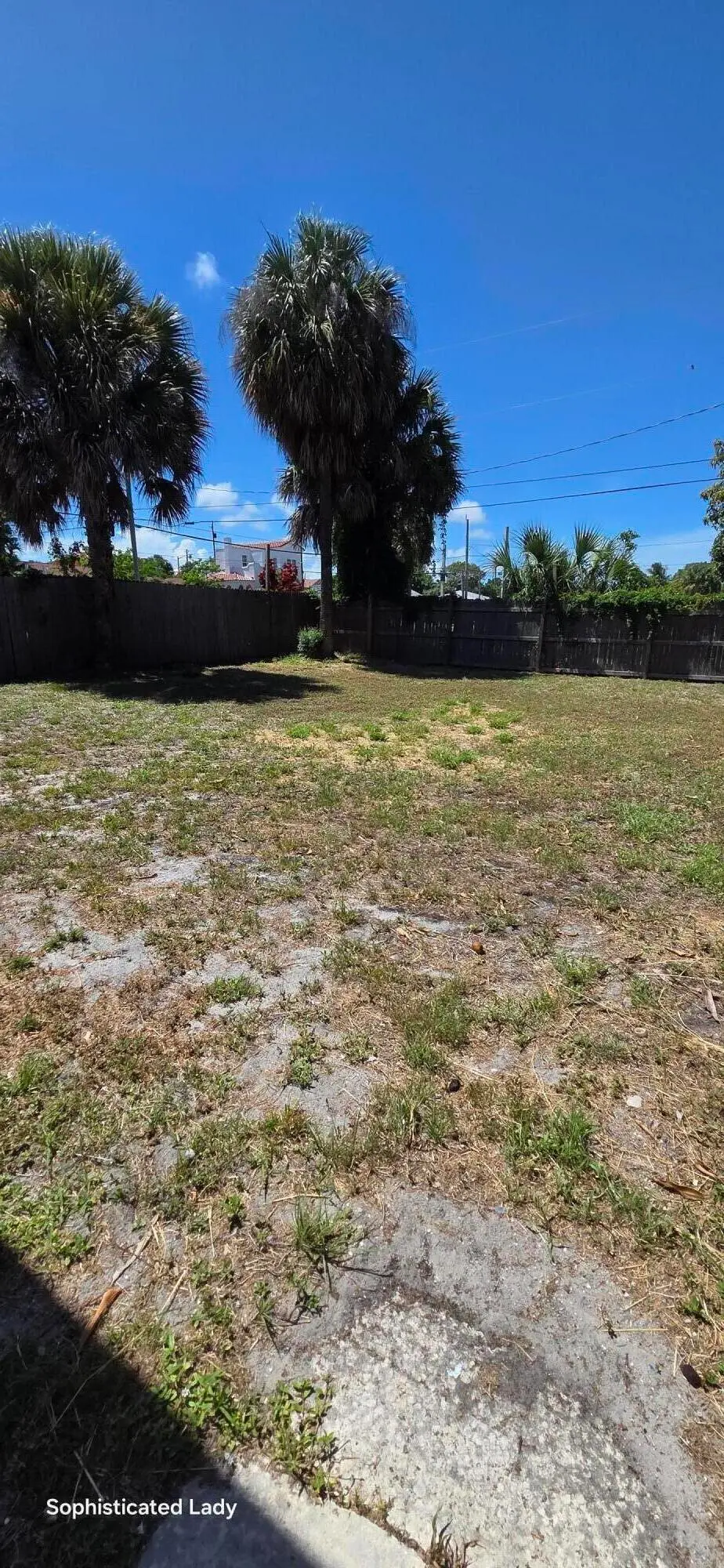 Back yard at 633 11TH Street, West Palm Beach