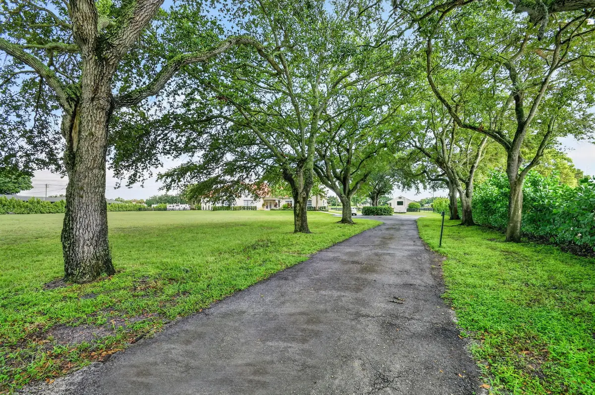 Tree Canopy at 876 Cindy Cir Lane, Wellington