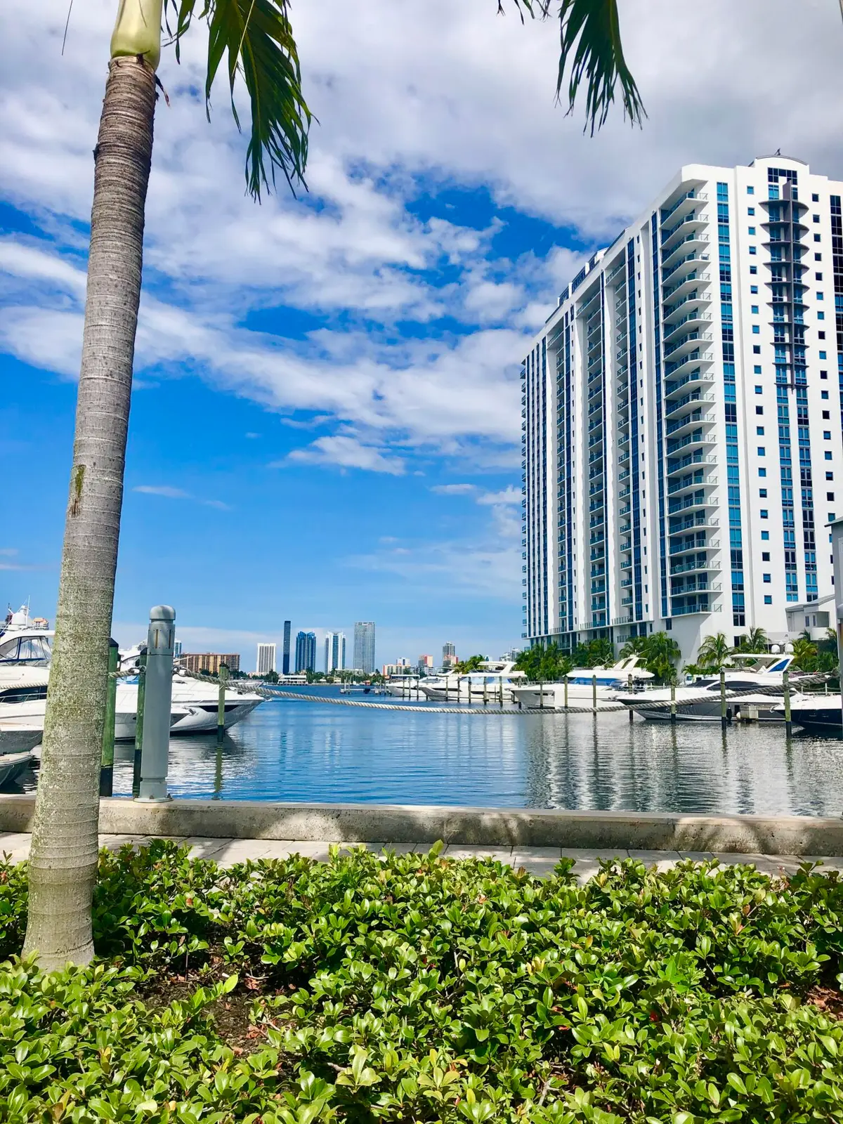 IMG_2937 at 17111 BISCAYNE Boulevard 1903, North Miami Beach