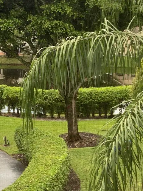 448.3 pic at 20080 Boca West Drive 448, Boca Raton