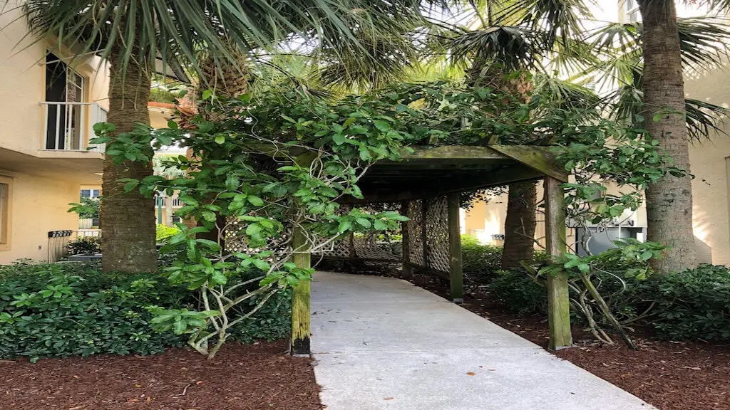Community Amenities at 1139 TOWN CENTER Drive 25, Jupiter