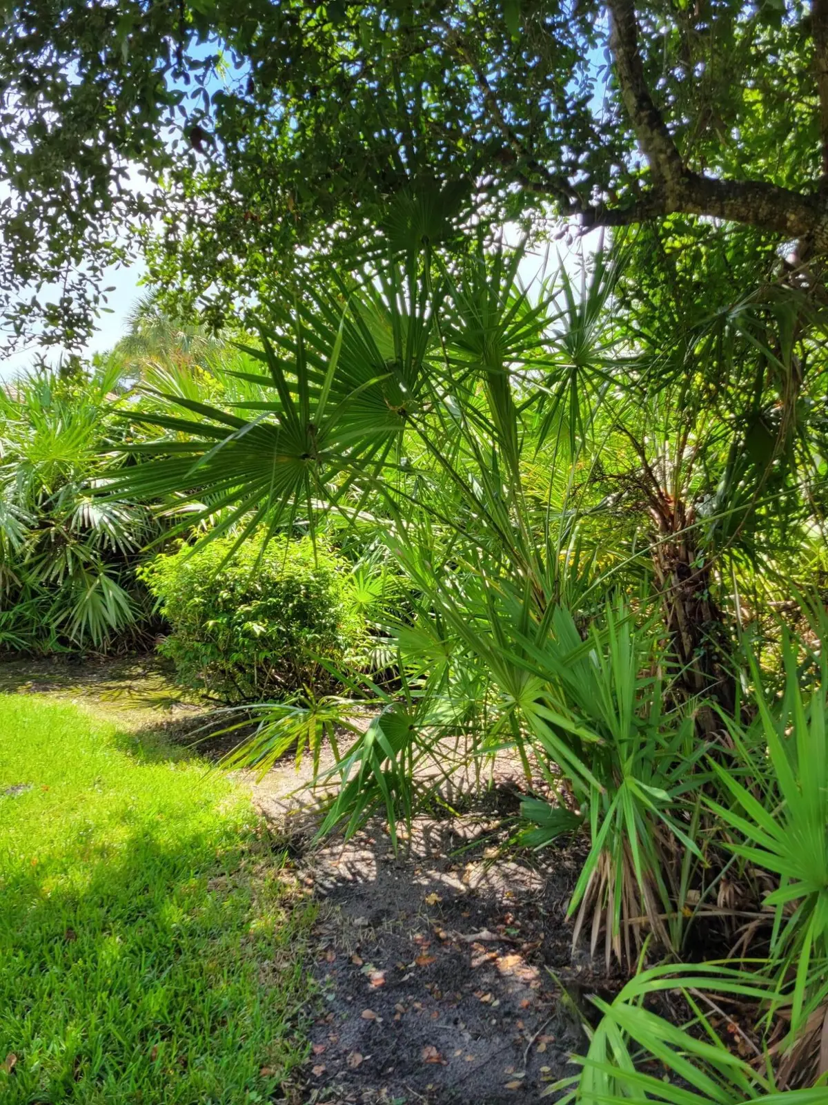 Right side of back Yard at 7073 Torrey Pines Circle, Port St. Lucie