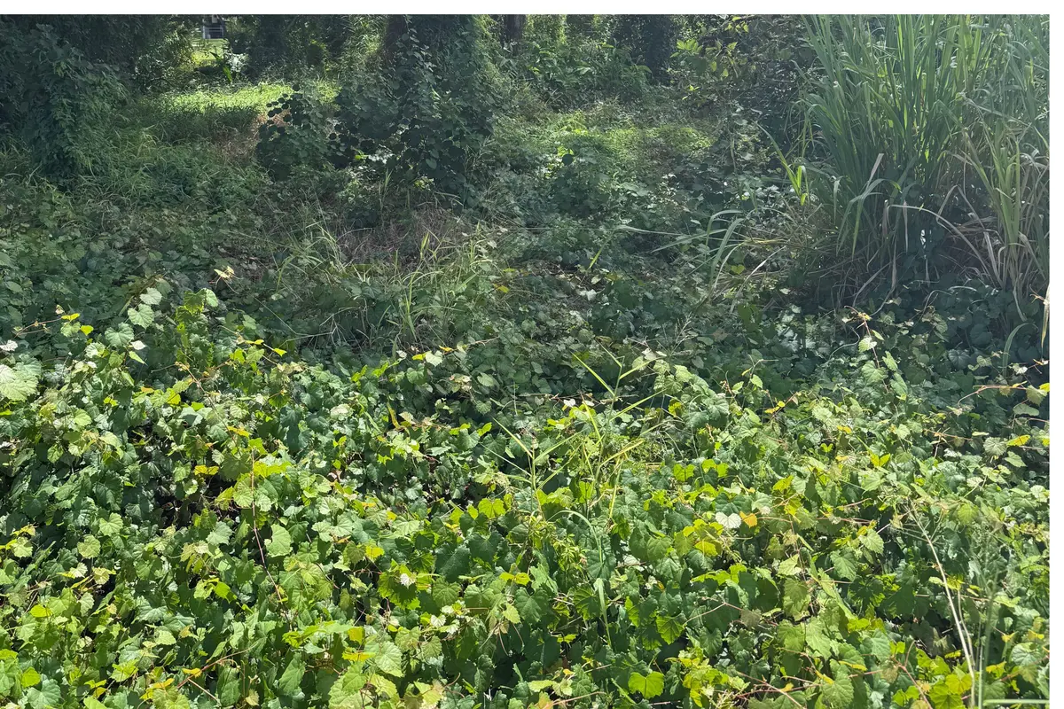 6801 Deland Avenue at 6801 Deland Avenue, Fort Pierce