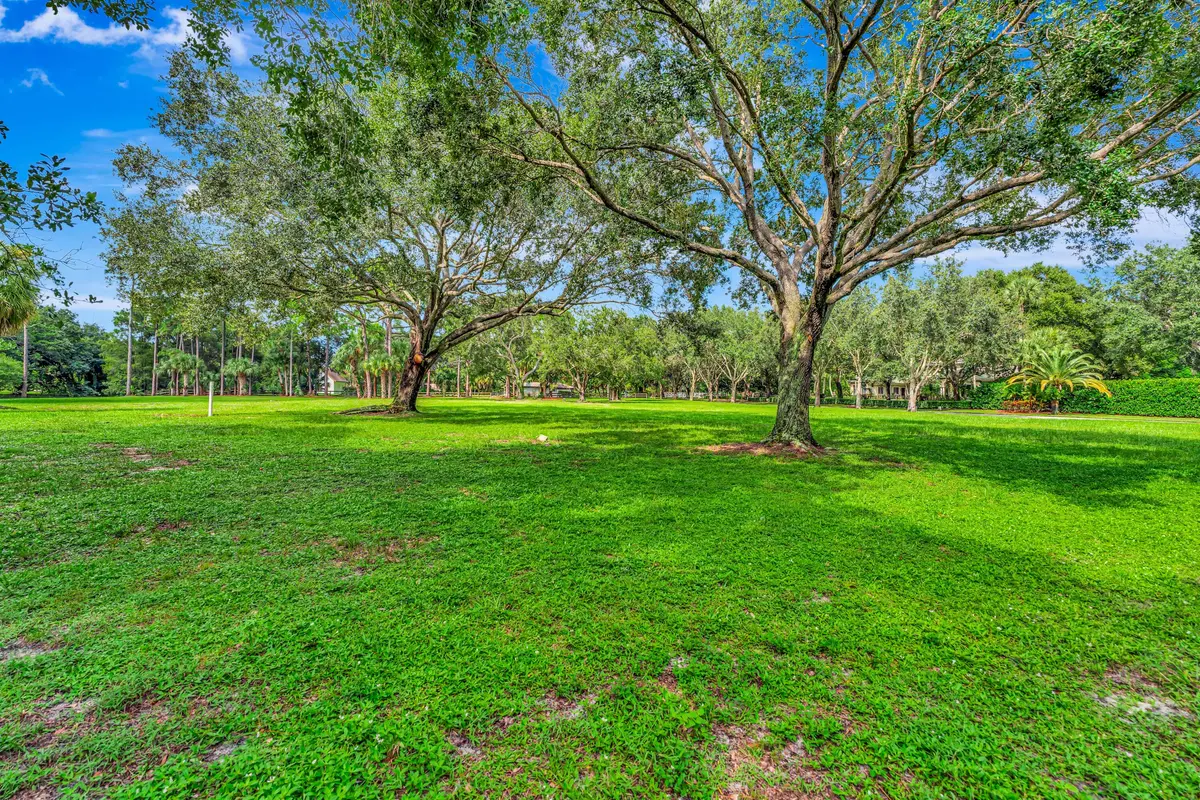Yard at 8267 Nashua Drive, Palm Beach Gardens