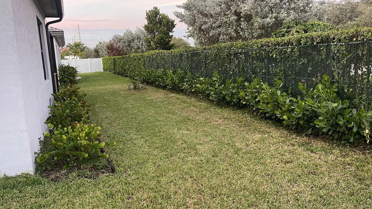 Back Yard View 2 at 4149 SW 173rd Avenue, Miramar
