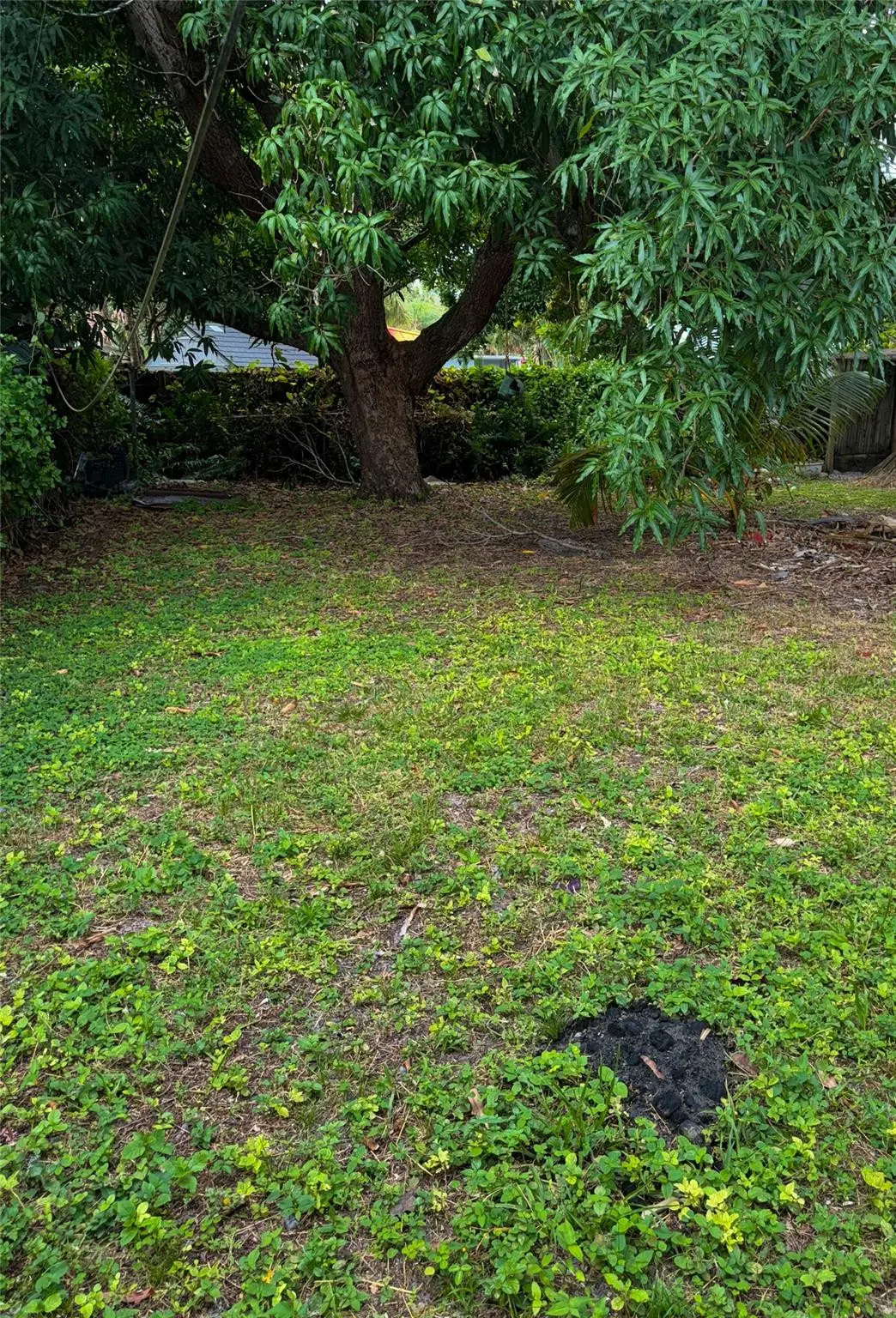 Photo 6 at 1405 NW 6TH Avenue, Fort Lauderdale